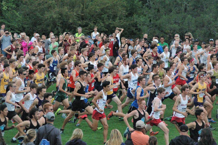 Cross Country Competes at Warrior Invitational