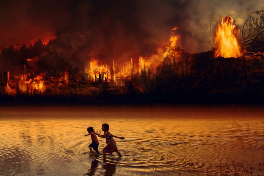 The Amazons Burning Future