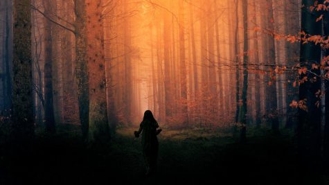 Second Place- The Forest Breathes by Nic Highsmith : A man looking for the body of a missing boy ventures into a forbidding forest. Along the way, he meets two strange characters who think they may be able to help...