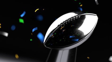 NFL Championship Games Preview and Prediction