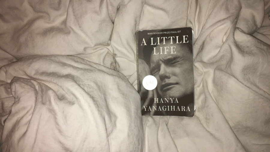 A Little Life: A Review